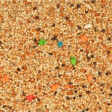Die Grup Muhabbet Kuşu Yemi 750+250G