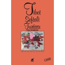 Ayrıntı Yayınları Tibet Şeftali Turtası