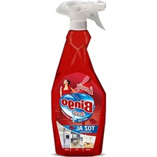 Die Grup Kalıcı Parfüm Yüzey Temizleyici, 750 ml