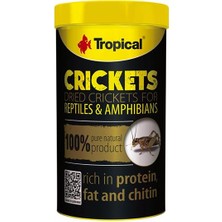 Tropical Crickets  Kurutulmuş Çekirge 25 gr