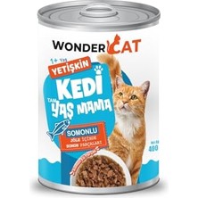 Die Grup Kedi Köpek Taşıma Kabı ve Evcil Hayvan Tüy Temizleyici Kıl Toz Toplayıcı Hazneli Taşıma Kabı ve Tüy Rulosu