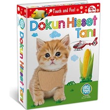 Die Grup Dokun Hisset Tanı Eğitim Kartları, Zeka Kartları