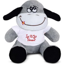 Die Grup Özgüner Oyuncak 20-25 cm Tişörtlü Pelüş Ayıcık, 20 cm Teddy Bear, Yumuşak Ayıcık, Sevgiliye Hediye,ayı Teddy,peluş Ayıcık,plush Toys,oturan Ayı,ofis Hediyesi,renkli Ayıcık,iyi Ki Varsın,tişörtlü,ayıcı