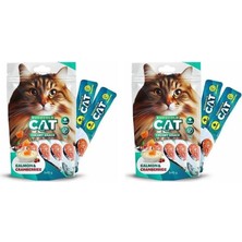 Die Grup Cat Sıvı Kedi Ödülü Somon-Kızılcık 5X15 gr 2li Paket