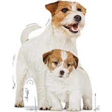 Die Grup Freshy Mini Sausages Tahılsız Sosis Köpek Ödülü 100 gr 20 Adet