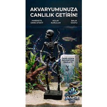 Alse 3D Alse Dans Eden Akvaryum Iskeleti 2'li Set - Akvaryumunuzda Ikili Eğlence!