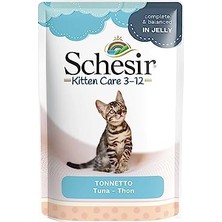 Die Grup Plus Smoothie Kuzu Etli ve Ananaslı Yetişkin Köpek Sıvı Ödül Sı 85 gr