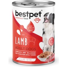 Die Grup Erkek Köpek Alt Bağlama Bezi Xl Beden (9 Adet)