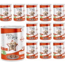 Die Grup 15 Lt Kemirgen Talaşı