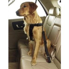 Die Grup Tineke Evcil Hayvan Araç Emniyet Kemeri Kedi Köpek Araba Oto Tasması Oto Aksesuarları (Mavi)