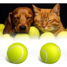 Die Grup Kanji 2'li Kedi Köpek Tenis Topu | 7.5 cm Orta Boy Dayanıklı Evcil Hayvan Oyuncağı | Diş Dostu, Suda Batmaz, Eğitim ve Oyun Topu | Iç-Dış Mekan, Parlak Renkli