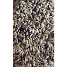 Die Grup Süper Karışık Kanarya Yemi 1 kg