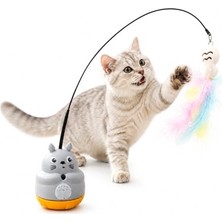 Die Grup Sterilized Kısırlaştırılmış Tahılsız Kedi Sı 2 kg