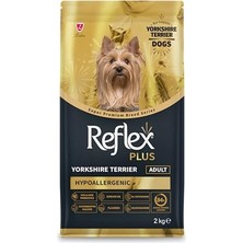 Die Grup Kyrotech Interaktif Kedi Oyuncağı Seti, Peluş Oyuncak, Kedi Oyun Oltası, Avlanma Geliştirici, Zeka Artırıcı Kedi Oyuncak Seti (3 Lü Set)