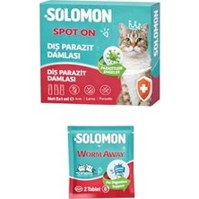 Die Grup Kedi Taşıma Çantası Evcil Hayvan Seyahat Kedi Sırt Çantası Fileli Siyah