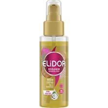Die Grup Elidor Güçlü Saç Uçları Için Hindistan Cevizi Saç Yağı 1 Paket (1 x 80 Ml)