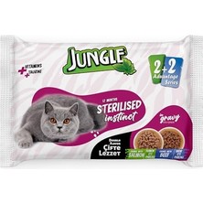 Die Grup 4 x 100 gr Çift Lezzet Pouch Kısır Kedi Somon - Biftek