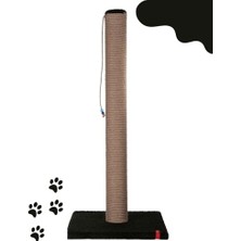 Die Grup ® W270-6L Box Less Tracking Bentonite Kedi Kumu