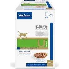 Die Grup Kedi  Veya Su Kabı Ahşap Standı ve Seramik Kasesi Evcil Hayvan Minimalist Design Tekli (Kırmızı)