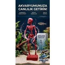 Alse 3D Alse Dans Eden Akvaryum Iskeleti 2'li Set - Akvaryumunuzda Ikili Eğlence!
