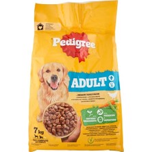 Die Grup Mavi Basmalı Kedi ve Köpek Tarağı – Otomatik Temizlenen Pet Fırçası – Paslanmaz Çelik Iğneli – Ergonomik Saplı – Tüy Toplama ve Bakım Için Pratik Tarak