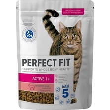 Die Grup Perfect Fit Yetişkin Sığırlı Kuru  750 G