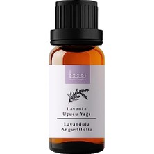 Die Grup Tıbbi Lavanta Uçucu Yağı 10 ml | Lavandula Angustifolia Essential Oil | Uyku ve Stres Için Aromaterapi | Yatıştırıcı Aromaterapi Yağı