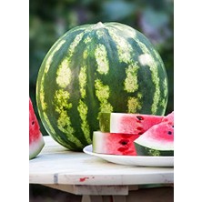 Die Grup Erdem Garden Doğal Diyarbakır Karpuzu C.sweet Tipi 100 Ad. Tohum