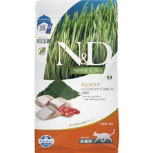 Die Grup Spirulina Herring Yetişkin Kedi Sı 1,5 kg