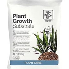 Die Grup Vesicularia Dubyana Java Moss Cup Canlı Bitki