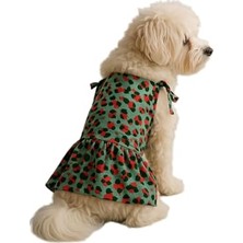 Die Grup Easy Walk No-Pull Köpek Göğüs Tasması, Çekmeyi Önlemeye Yardımcı, Kontrolü Ele Alın ve Tasmayla Daha Iyi Yürümeyi Öğretin, Evcil Hayvanların Çekmesini Önlemeye Yardımcı, Petite/s, Siyah/gümüş