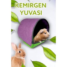 Die Grup Kedi Çimi Tohumu