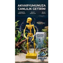 Alse 3D Alse Dans Eden Akvaryum Iskeleti 2'li Set - Akvaryumunuzda Ikili Eğlence!
