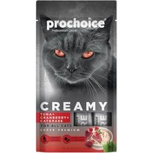 Die Grup Creamy Kediler Için Tuna Balığı, Kızılcık ve Kedi Otlu Sıvı Ödül Sı 4X15 gr