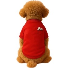 Die Grup Gentle Dog Gezdirme Kayışı (M) Blue