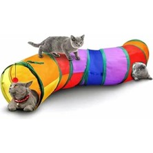 Die Grup Petsa Nd Kedi Kumu 10 Lt