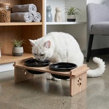 Die Grup Busstier Kedi Oyuncak Seti, Yaylı Tüylü Toplu Kedi Eğlence Istasyonu, Dönerek Hareket Eden Toplu Kedi Oyun Alanı, Dayanıklı Malzeme, Iç Mekan Aktivite Oyuncağı, Kediler Için Egzersiz ve Eğlence