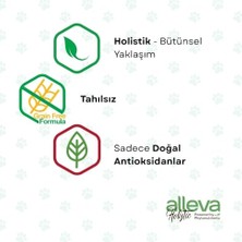 Die Grup Lüks Seramik  Kabı Pati Kemik Desen Kabartmalı Doğal Renkli Kedi ve Köpek Yemek Su Kasesi, Devrilmez Premium Dekoratif Porselen Yapı 1 Adet Tekli (Beyaz)