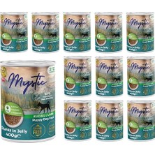 Die Grup Sp Somon Kısırlaştırılmış Yetişkin Kedi Sı 8+2 kg