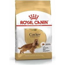 Die Grup Royal Canin Cocker Spaniel Adult Yetişkin Köpek Sı 3 Kg, 248789515484