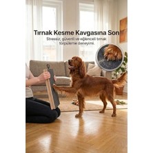 Die Grup Care Functional Snack Sağlıklı Büyümeyi Desteklemek Için, Tahılsız, Jambon ve Yosunlu, Fonksiyonel Yavru Köpek Ödülü, 150 G