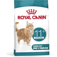 Die Grup Sogud Kedi Kapı Oyuncağı 2’li Set – Yaylı Ipli ve Tüylü Interaktif Kedi Oyuncağı – Kapıya Yapışan Zıplamalı Sistem – Ev Içi Kedi Egzersizi, Av Oyunu, Oynama ve Zihinsel Uyarım Için Eğlenceli Tasarım