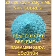 Sağlam Tarım 20.20.20+2mgo+Me Npk Gübre, Dengeli Besleme, Suda Tamamen Çözünür