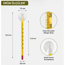 Muyu Craft Eurostar Cam Derece Sarı Ince