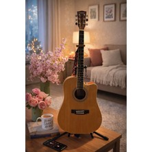Carissa Elektro Akustik Gitar