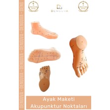 #maketayak Profesyonel Medikal Plastik Anatomik Refleksoloji 20CM Ayak Maketi Akupunktur Noktası