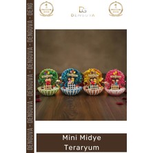 #hediye Dekoratif Masaüstü Ofis Minyatür Hediye Canlı Renkli Figürlü Estetik Kalıcı Mini Midye Teraryum