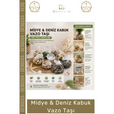 #denizkabuğu 100 Doğal Dekoratif Marine Rüstik Ekolojik Estetik Şık Deniz Kabuğu Fileli Renkli Mix