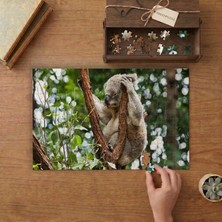 Punto Dizayn Okaliptüs Ağacında Sevimli Koala Tasarımı 240 Parça Ahşap Puzzle Ahşap Kutuda MPY50015