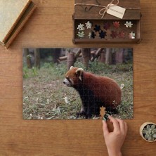 Punto Dizayn Nadir Kızıl Panda Tasarımı 240 Parça Ahşap Puzzle Ahşap Kutuda MPY60057